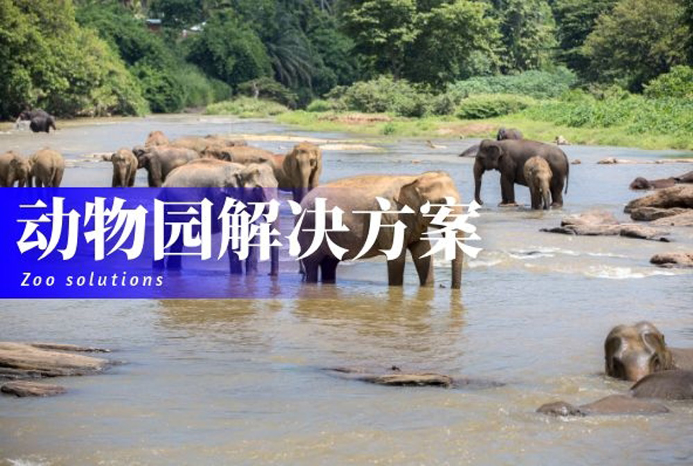 “摄图_3c115edf380aa47aca2e9495a659a967_13055”为智能对象-1.jpg