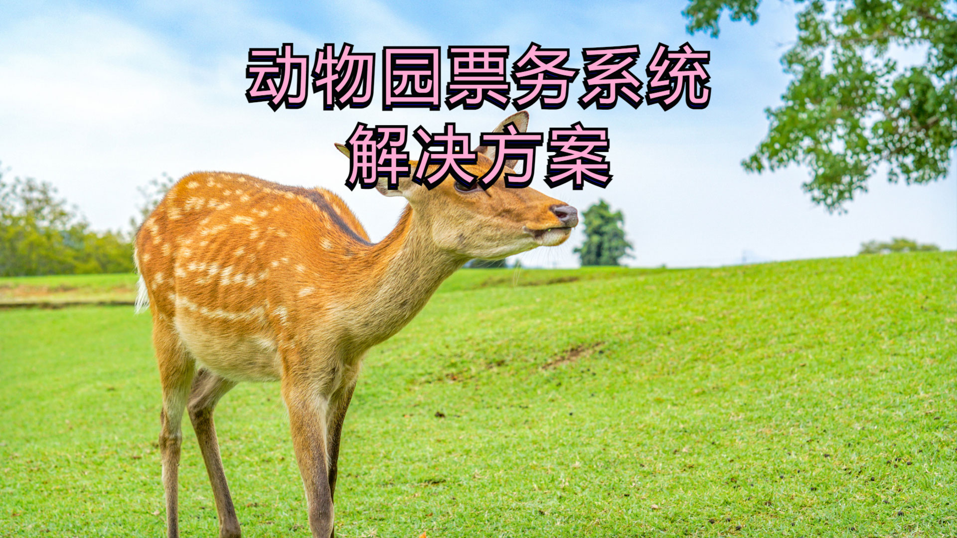 “690104797”为智能对象-1.jpg
