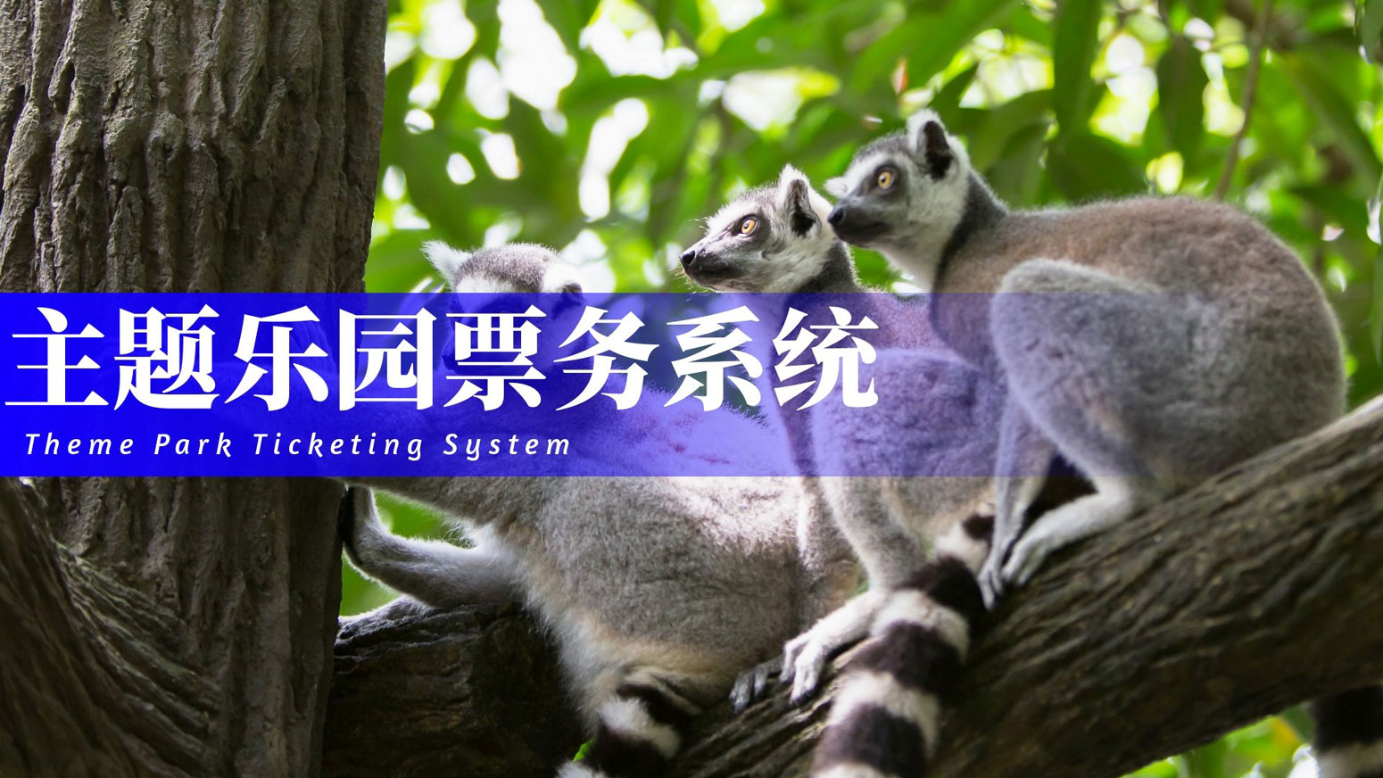 主题乐园票务系统解决方案